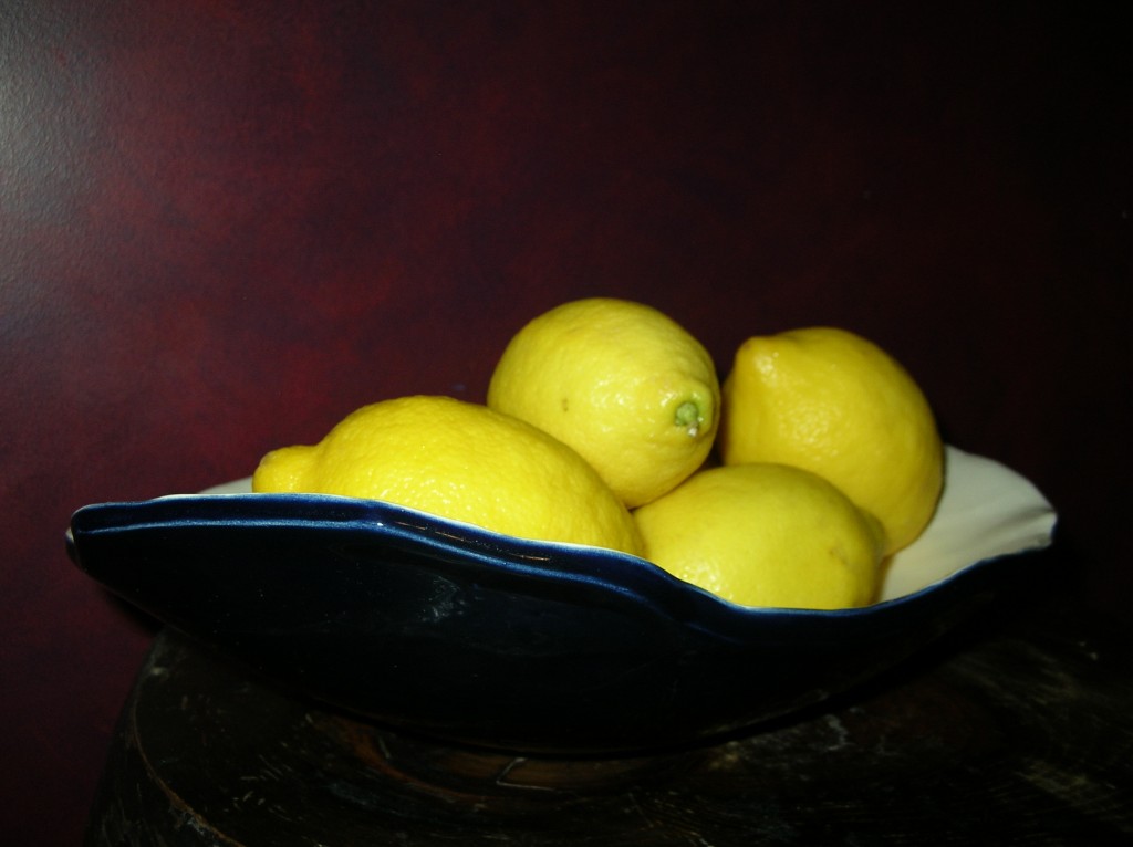 navy belly bowl with lemons against a red wall