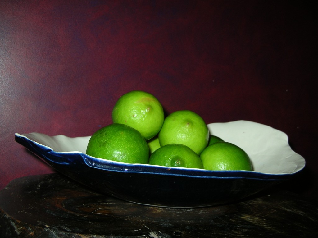 navy belly bowl with limes against a red wall